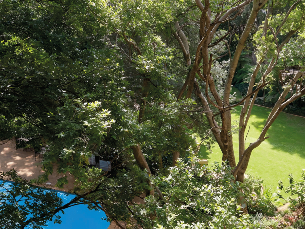 Winelands e Panorama Route, vegetazione rigogliosa lungo un corso d'acqua