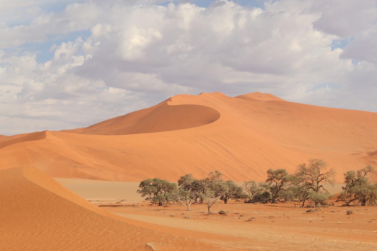 sossusvlei 5339728_1280