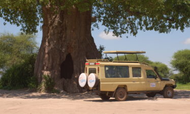 TANZANIA “Dal Tarangire al cuore del Serengeti”