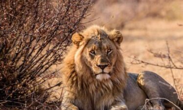 agenzie viaggi i tour operato con DMC in africa