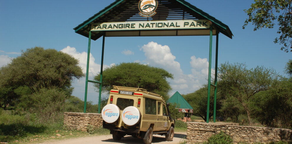 safari nel tarangire