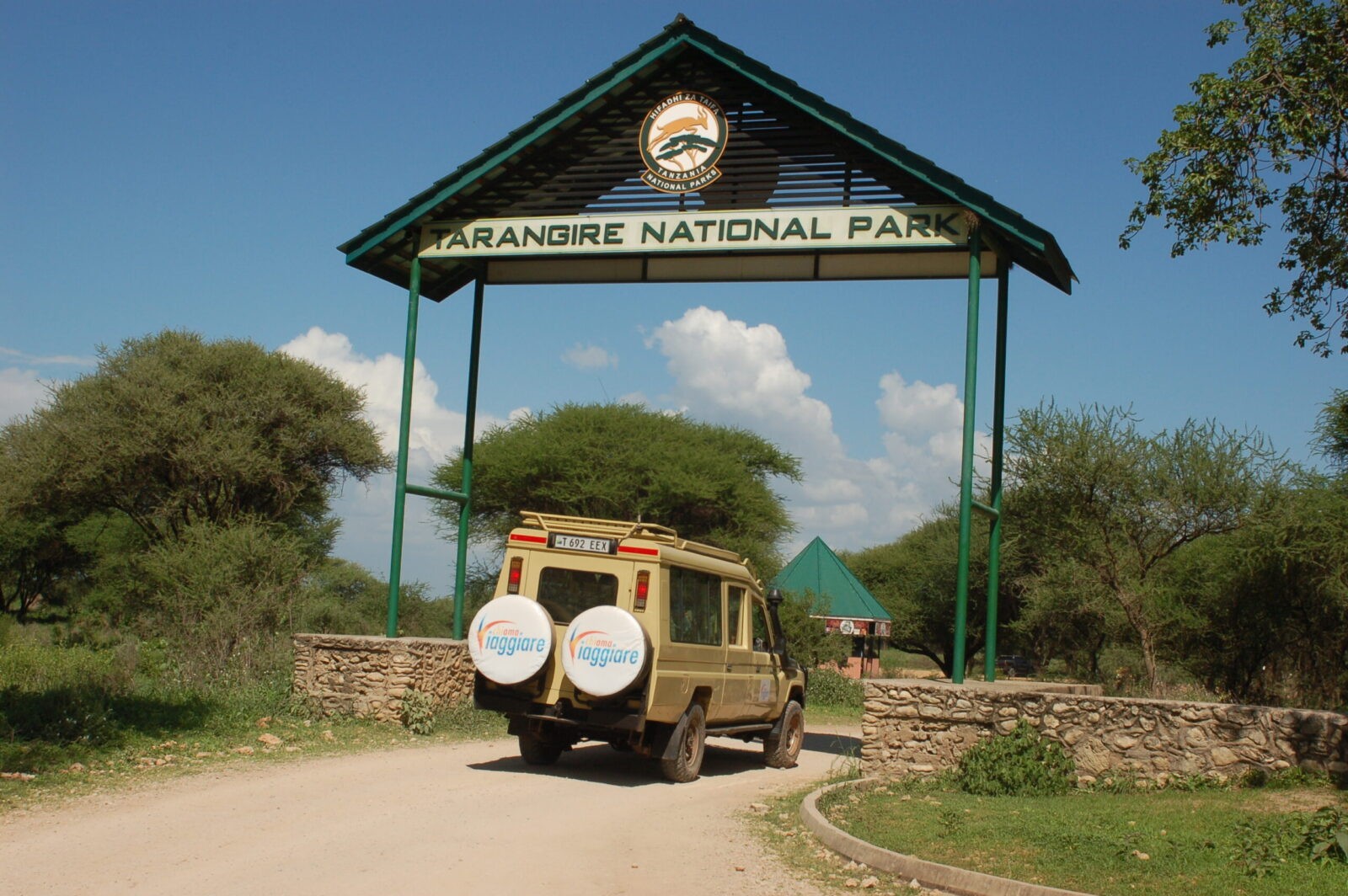 safari nel tarangire
