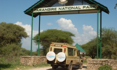 Tanzania tarangire national park