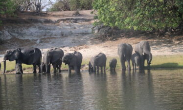 BOTSWANA E VICTORIA FALLS de lux 7notti trasferimenti in aereo e auto