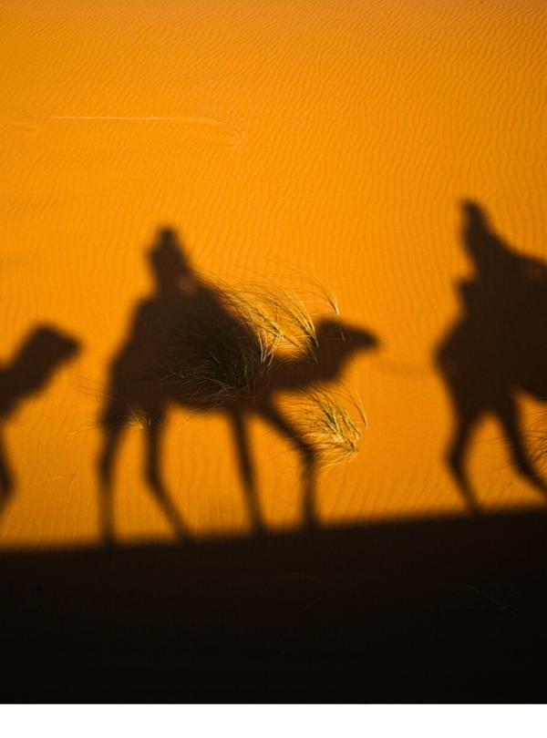 Marocco, regni perduti e deserti di sabbia