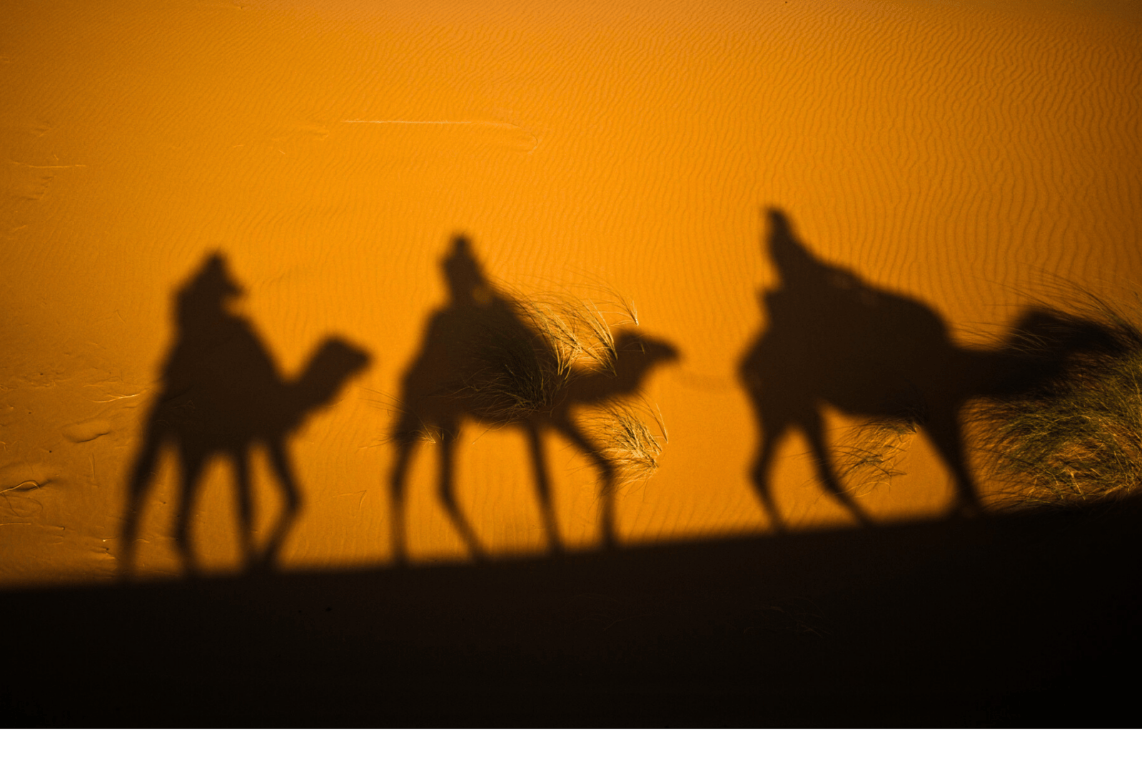 Marocco, regni perduti e deserti di sabbia