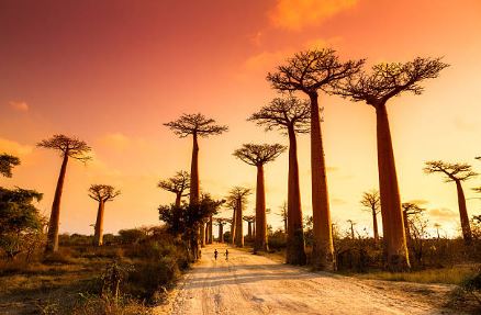 madacascar e chiama viaggiare