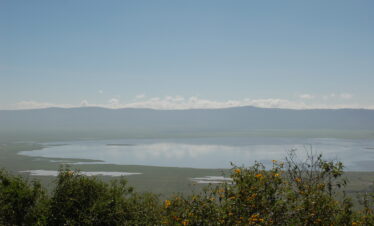 Ngorongoro