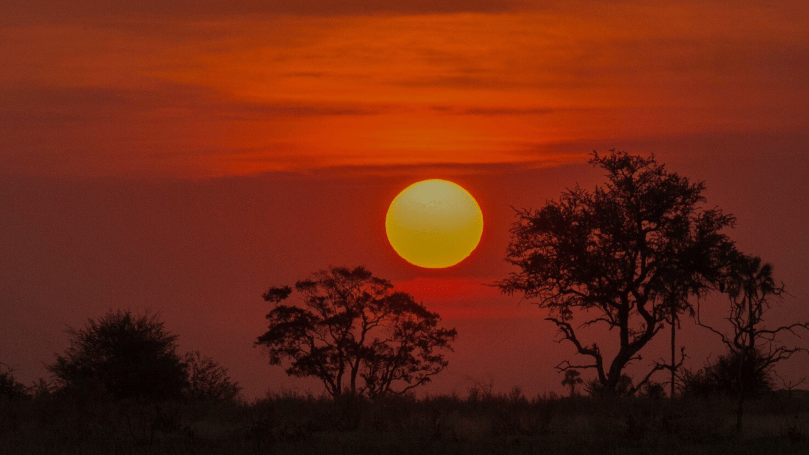 Delta Okavango in Botswana