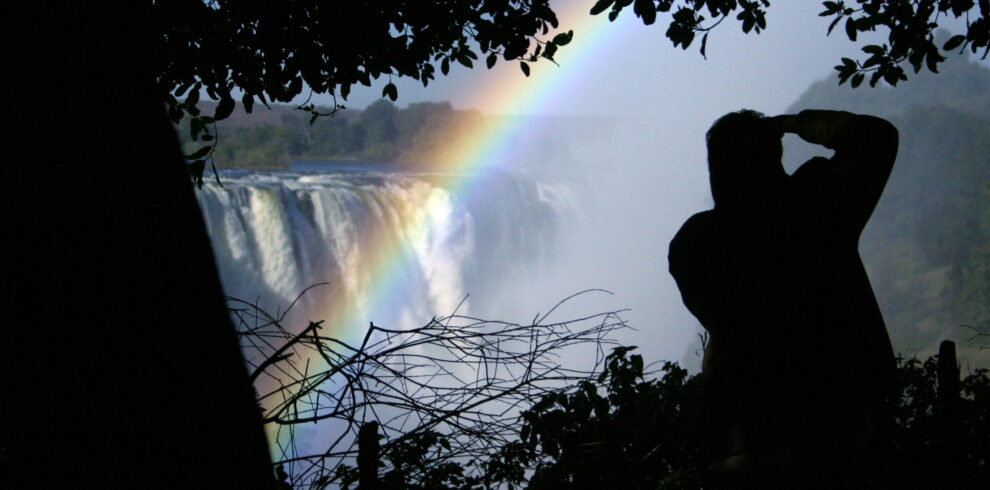Safari fotografico in zimbabwe