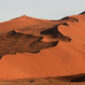 Dune del deserto del Namib