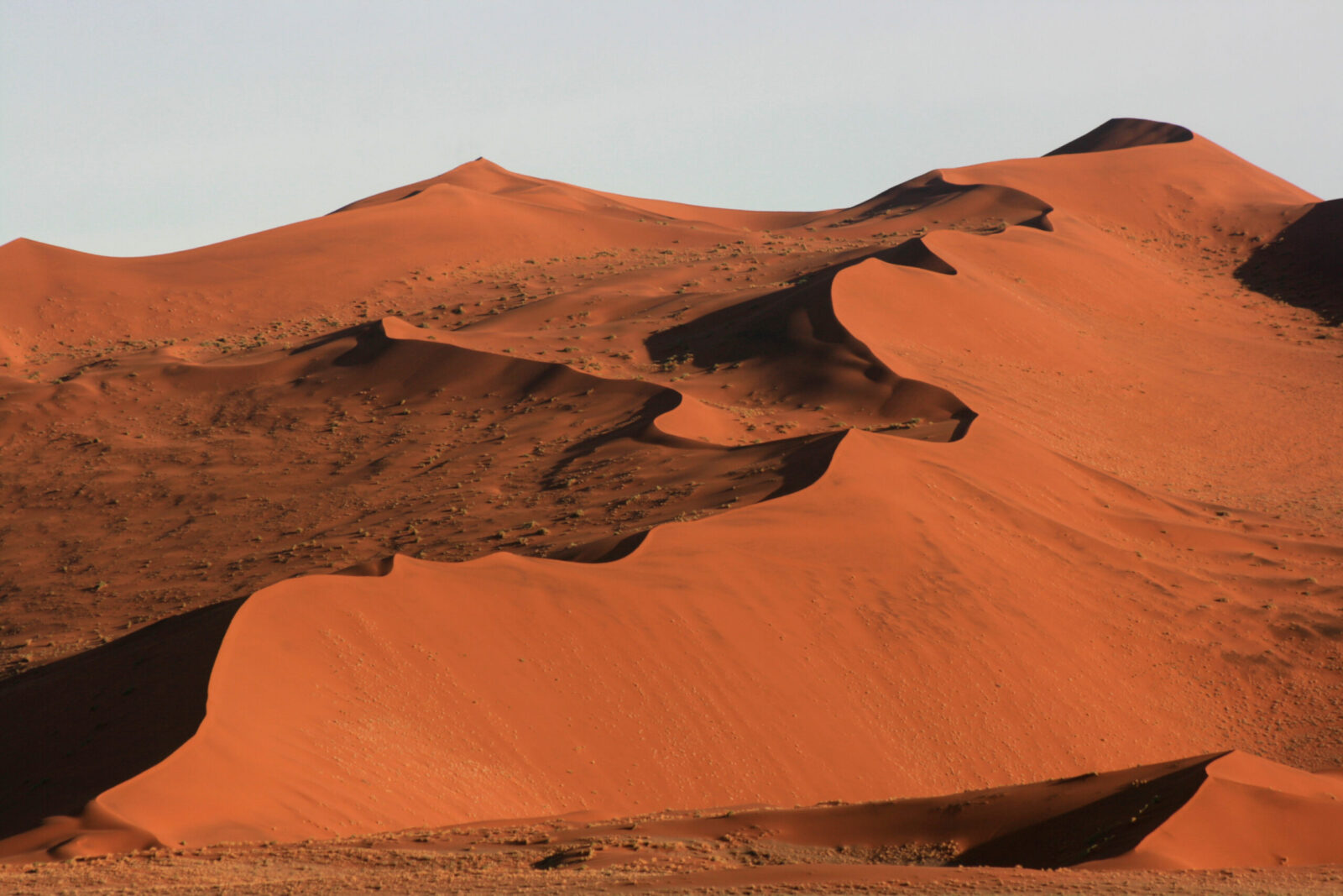Dune del deserto del Namib