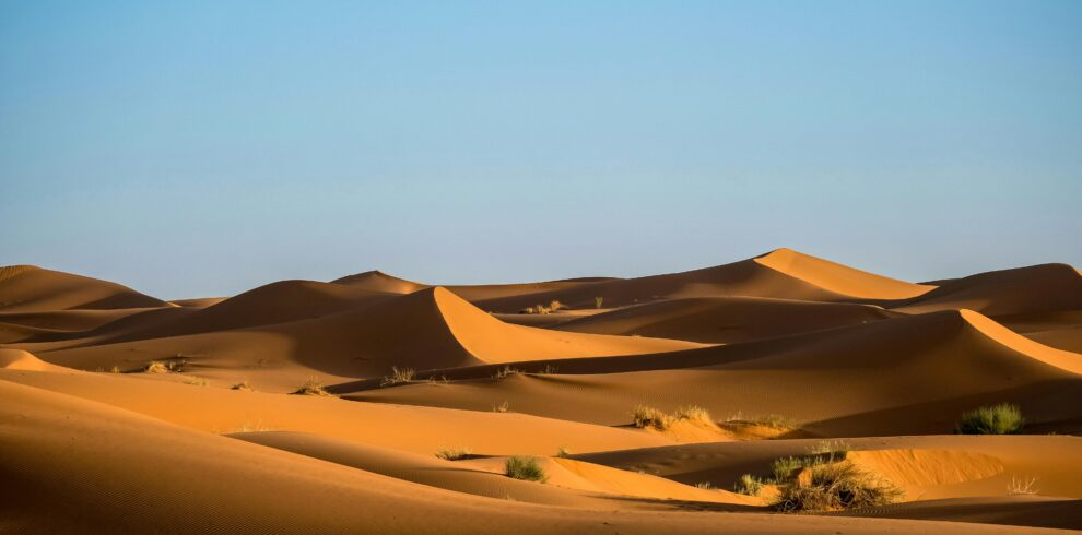 MAROCCO DESERTO