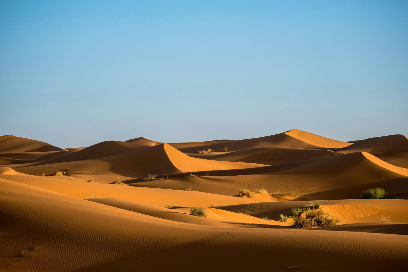 MAROCCO DESERTO