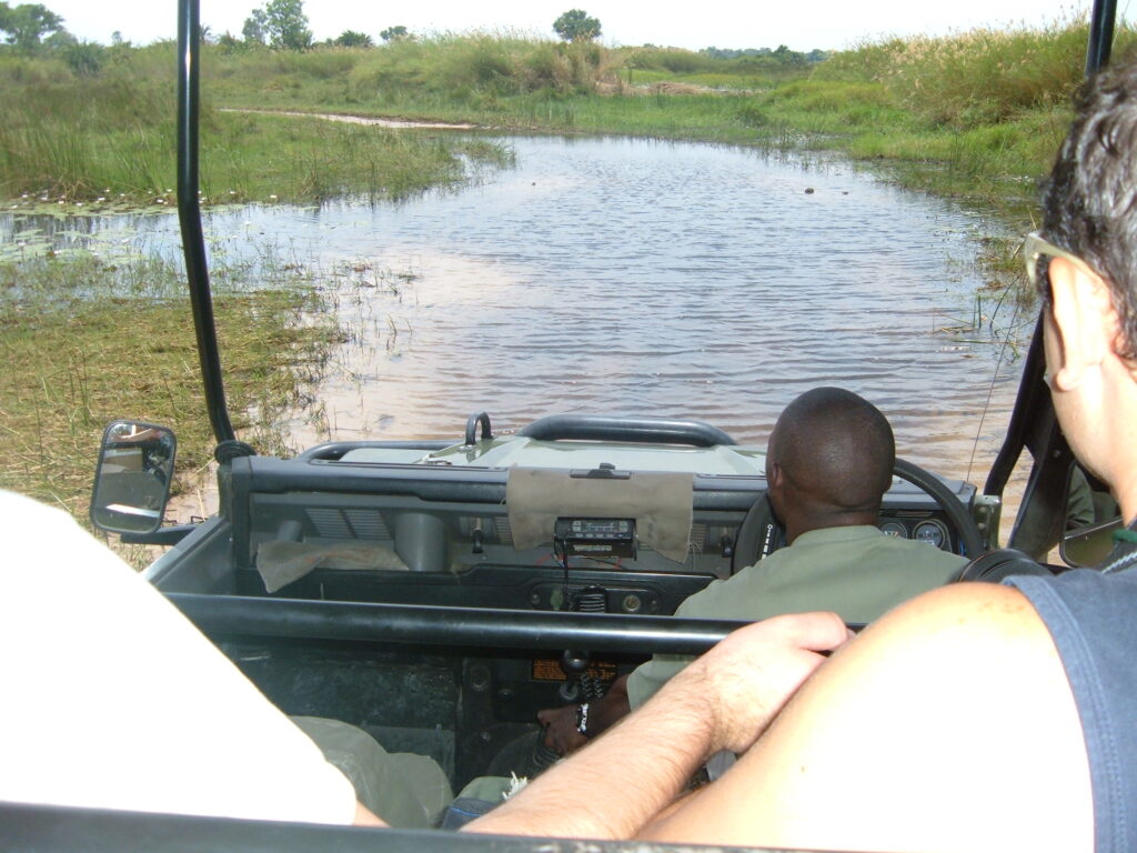 safari in Botswana dentro il delta dell'okavango