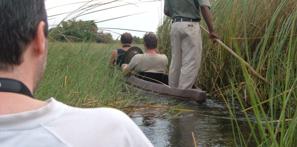 Passeggiata in mokoro nelle foci dell'okavango