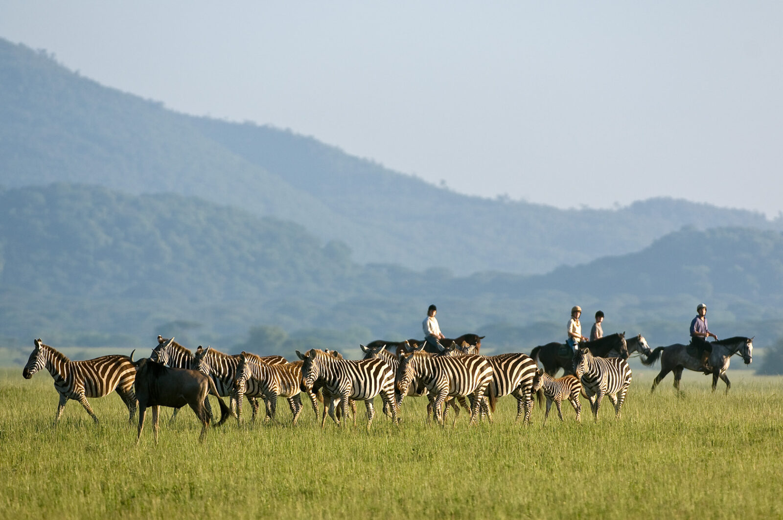 Tra i vari tipi di Safari quello a cavallo può dare un'emozione in più
