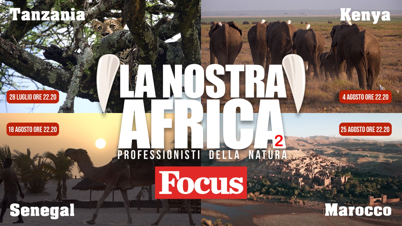 documentario su Focus canale 35 la nostra africa professionisti della natura
