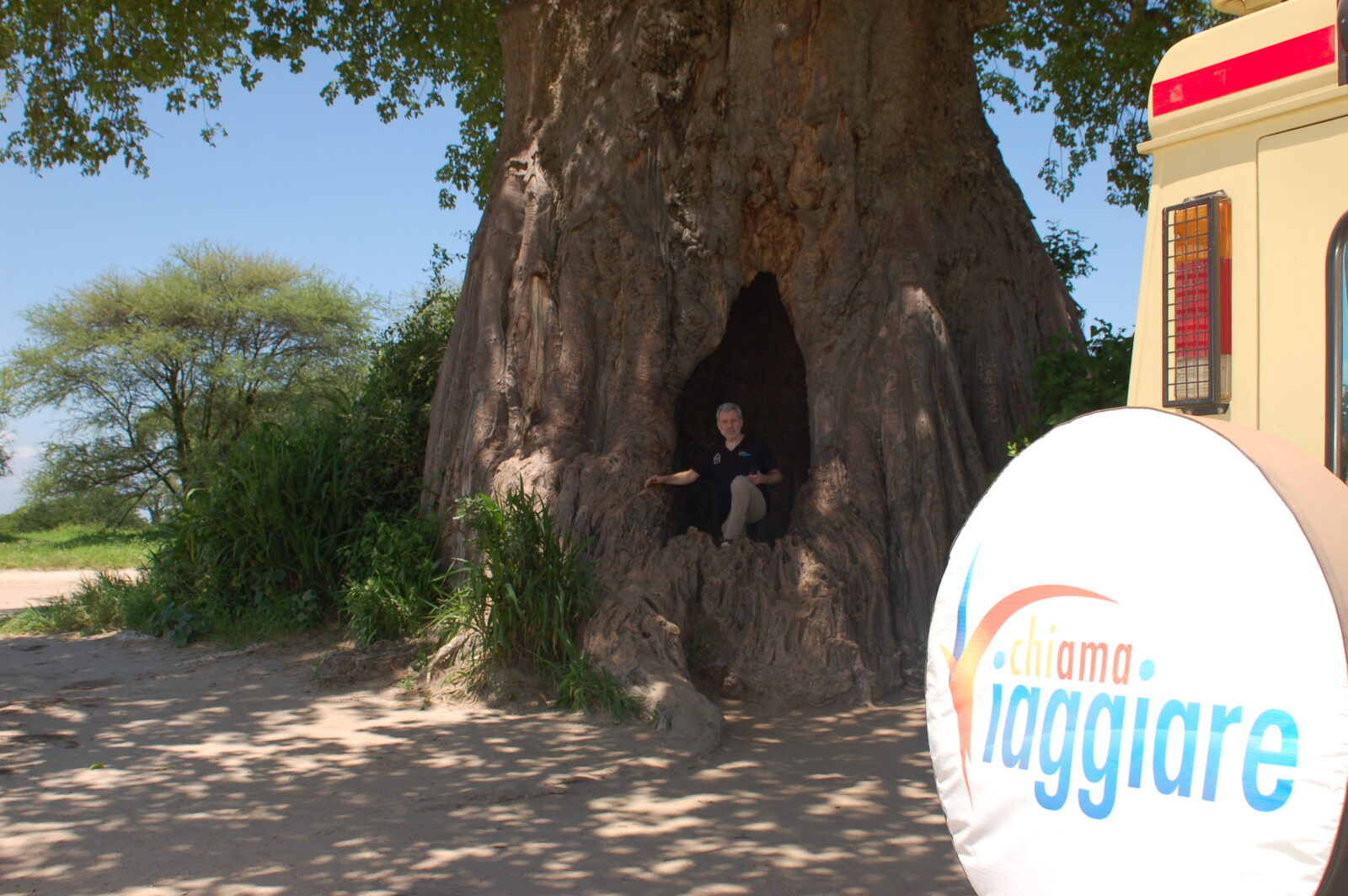 Uno dei maestosi baobab secolari nel Parco del Tarangire.