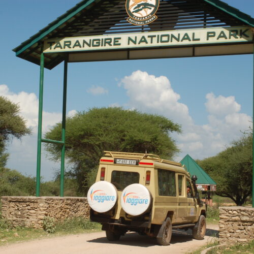 Chiama Viaggiare vi conduce al Tarangire National Park.