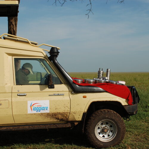 Pranzo con lunch box nella savana della Tanzania, all'ombra di un'acacia.