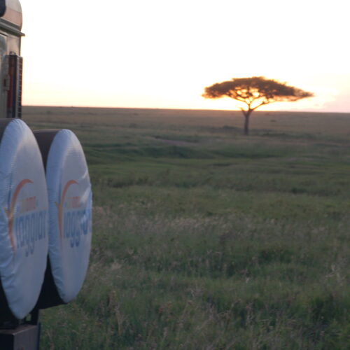 Che emozione! L'alba sulla savana del Serengeti