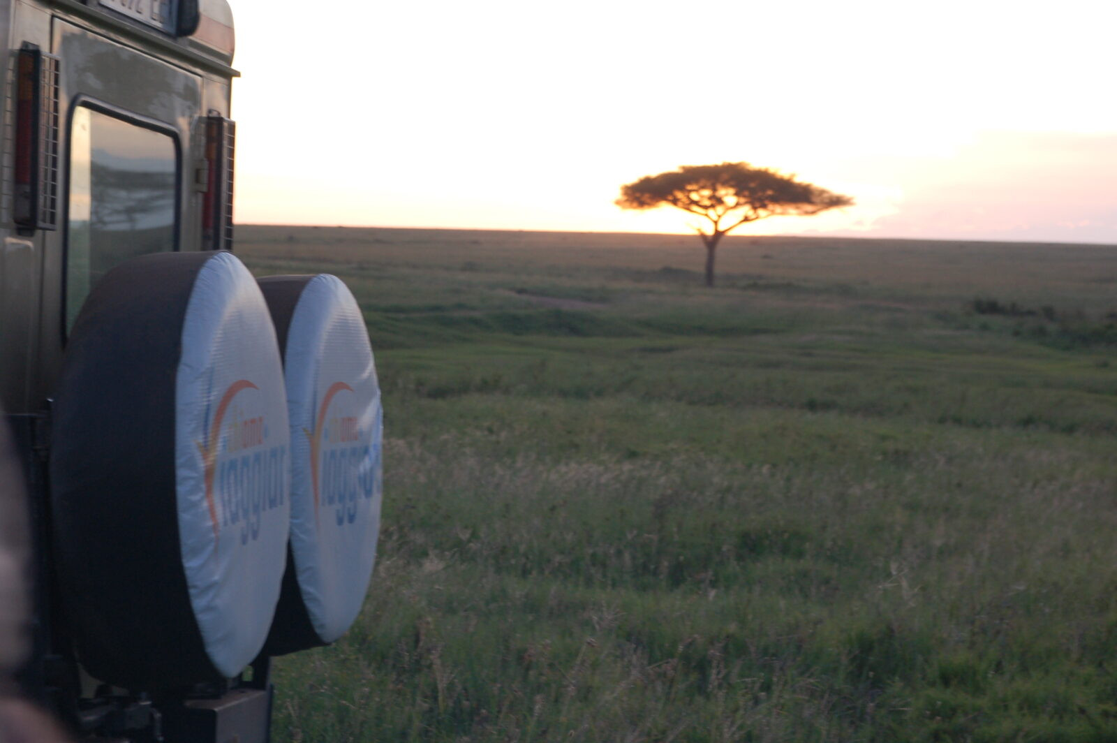 Che emozione! L'alba sulla savana del Serengeti