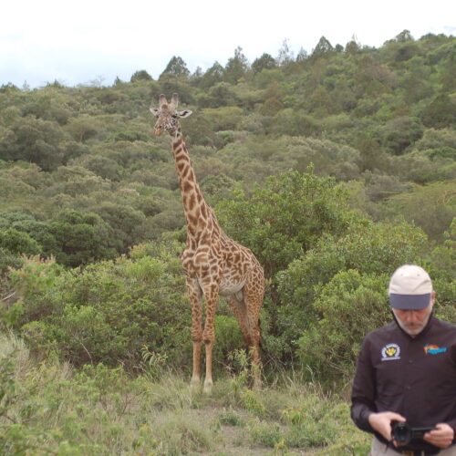 tanzania safari privato nei migliori parchi