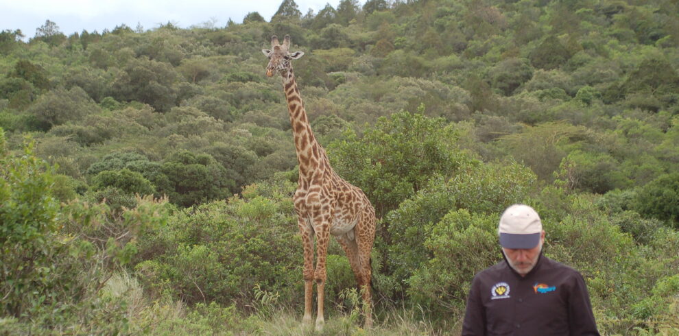 tanzania safari privato nei migliori parchi