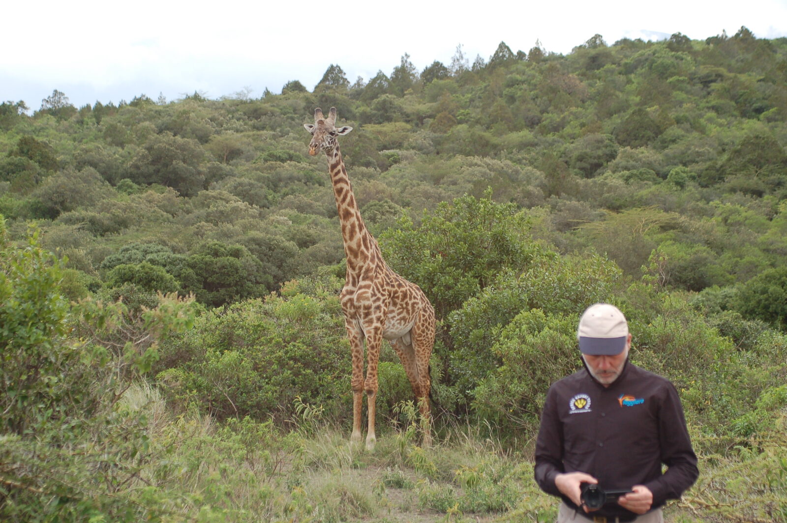 tanzania safari privato nei migliori parchi