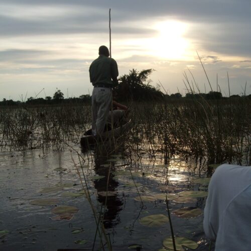 Prospettiva da bordo di un mokoro che mostra la sagoma del poler in piedi e la vegetazione fluviale dell'Okavango sotto il sole calante.