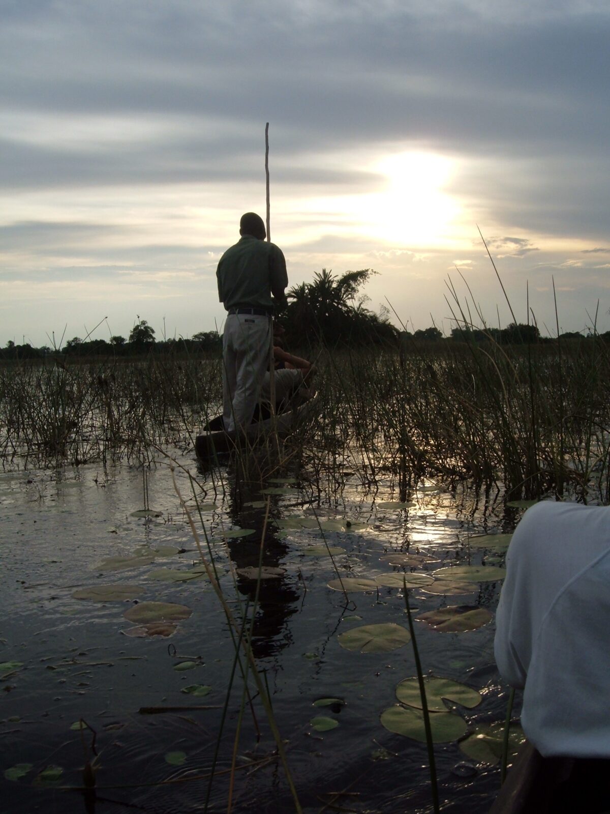 Prospettiva da bordo di un mokoro che mostra la sagoma del poler in piedi e la vegetazione fluviale dell'Okavango sotto il sole calante.