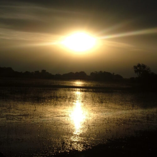 Il sole calante brilla intenso nel cielo scuro creando una scia di luce dorata specchiata sulle acque del fiume Okavango.