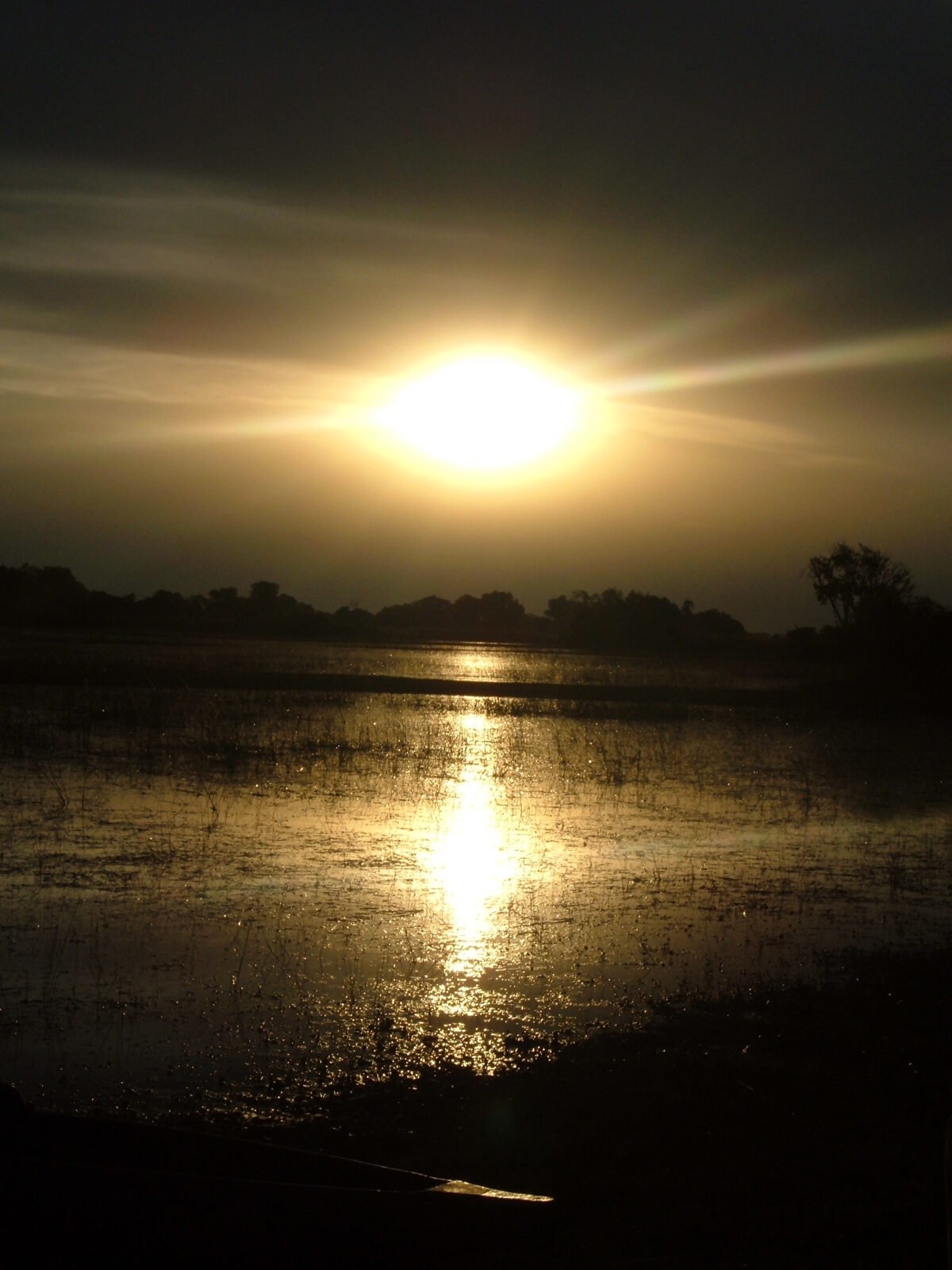 Il sole calante brilla intenso nel cielo scuro creando una scia di luce dorata specchiata sulle acque del fiume Okavango.