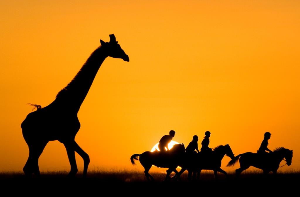 Silhouette al tramonto di un gruppo di cavalieri affiancati da una giraffa nella savana della Tanzania.