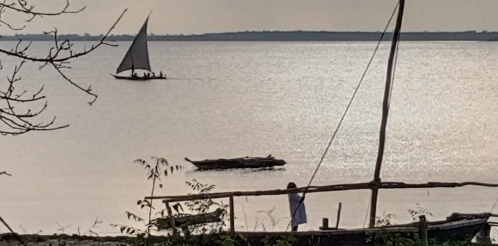 Un dhow a vela naviga sul mare calmo al tramonto di fronte all'isola di Daloni a Zanzibar, con altre imbarcazioni in sosta lungo la riva.
