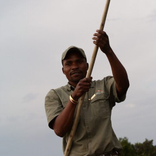 Una guida locale sorridente in divisa da safari manovra un lungo palo di legno per spingere un mokoro nei canali dell'Okavango.